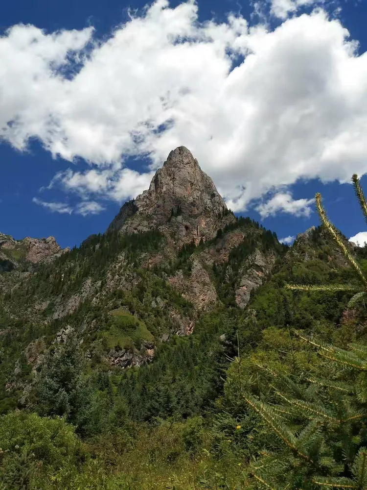 包含乌克兰队惊险小胜，小组赛出奇制胜，晋级形势一片明朗的词条