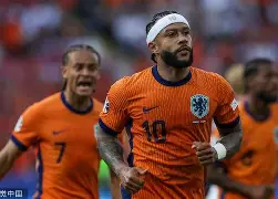 奥地利客场战胜北马其顿，小组头名指日可待的简单介绍