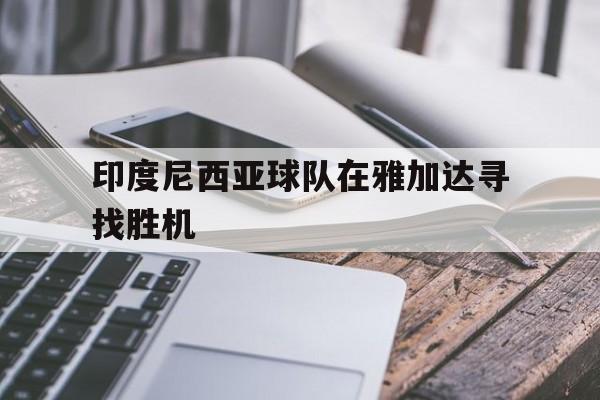 印度尼西亚球队在雅加达寻找胜机的简单介绍